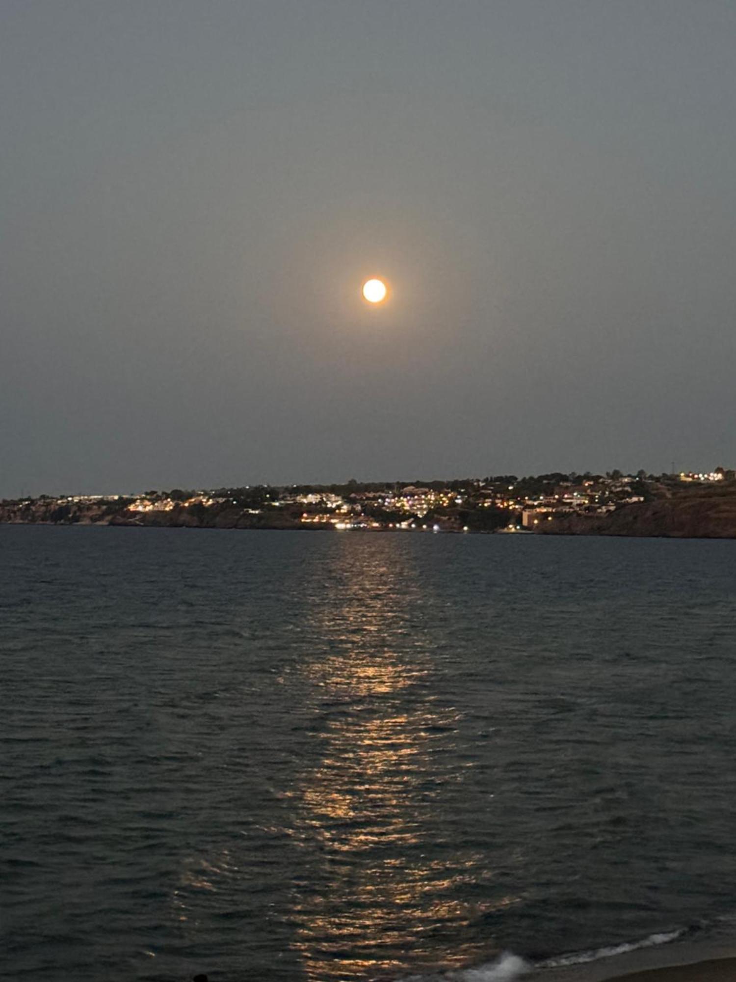 Villa Paradiso Fronte Mare Agnone Bagni Exterior foto